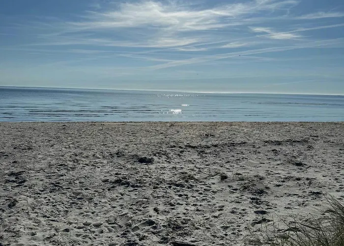 In With Nature And Sea Vibe